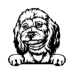 Maltipoo Dog - Peeking Dog Breed - Pet Dog Vector Portrait, Dog Silhouette Stencil