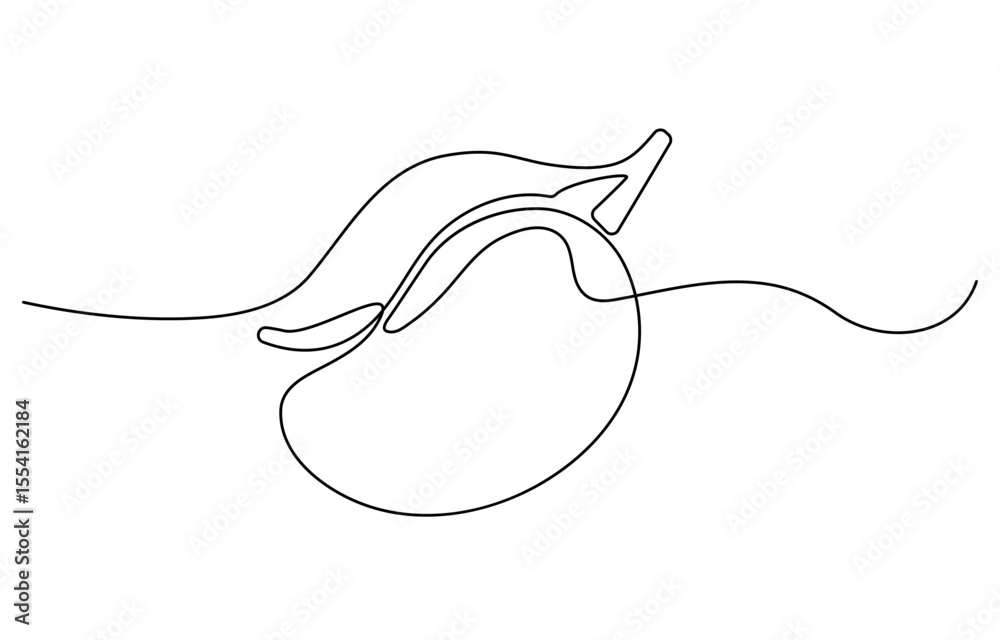 Poster Mango fruit continuous line. Continuous one line drawing of delicious mango. Mango fruit concept. single line drawing