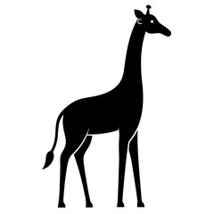giraffe vector illustration