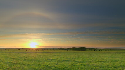 A Serene Sunrise Over a Lush and Green Pasture, Bringing a Sense of Calm and Beauty Time lapse.
