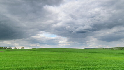 Obraz premium A Vast Expansive Green Field Displayed Under a Beautifully Cloudy Sky Above the Ground Time lapse.
