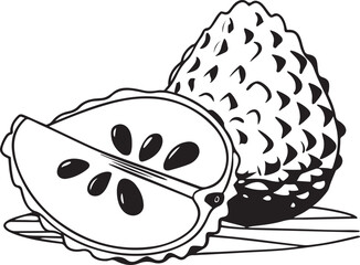 custard-apple--black-and-white--digital-illustrati.eps