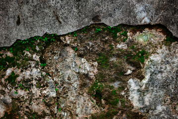The texture of an old wall that is cracked and covered in moss
