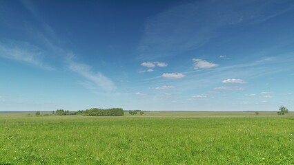A Vast Green Landscape Sprawled Out Beneath a Clear and Bright Blue Sky in Serenity