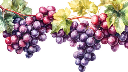 Luscious watercolor grapes hang from a vine with vibrant leaves, perfect for food-related designs or backgrounds, rendered on a transparent layout, transparent background