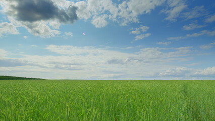A Lush Green Field Sprawling Under a Beautifully Bright Sky Filled with Fluffy Clouds
