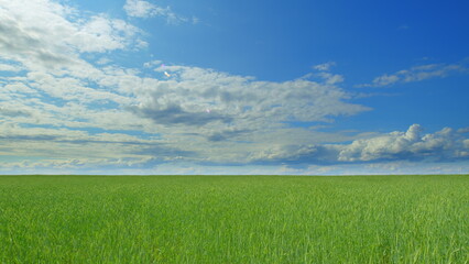 A Vast Green Field Sprawled Beneath a Bright Blue Sky, Creating an Open and Serene Landscape