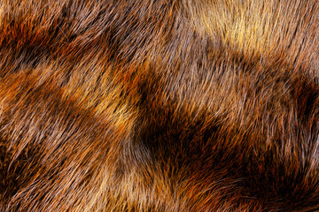 Abstract natural fur texture with rich red and brown hues, providing a realistic and organic look wall art background.