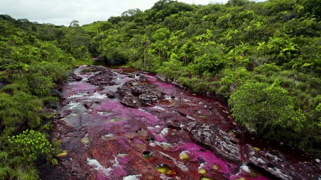 Aerial View of Colorful River and Jungle &ndash; Ca&ntilde;o Cristales, La Macarena, Colombia