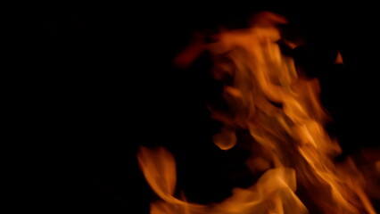 Dynamic Flames Dancing Gracefully in the Darkness of the Night, Captivating Beauty and Light