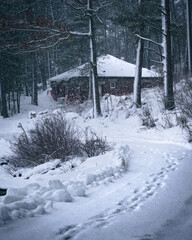 House in the amidst of a snowstorm