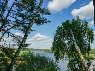 Landscape of a river, forest, sky in summer.