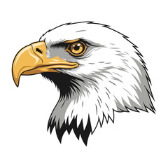 A powerful American bald eagle vector illustration portrait with a sharp beak, intense eye, and detailed feathers
