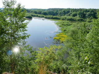 A simple, unpretentious European landscape in summer.