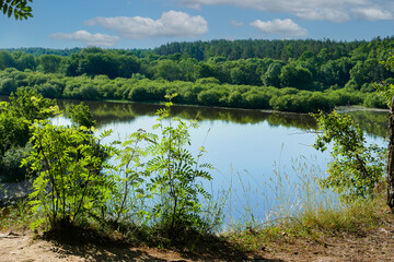 Summer river or lake surrounded by young birch forest