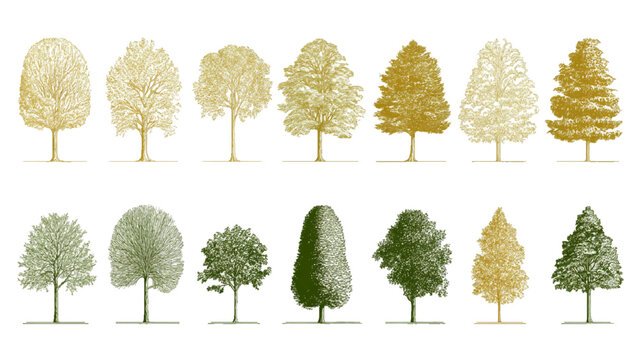 Minimal style cad tree line drawing, Side view, set of graphics trees elements, tree sketches, silhouette tree vector element