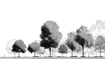 Minimal style cad tree line, Side view, graphics trees elements outline symbol for architecture, style cad tree line drawing, Side view, graphics trees elements  © appl