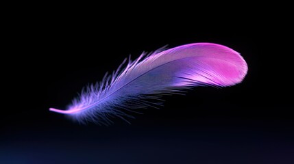 A single feather glows with vibrant purple and pink illumination