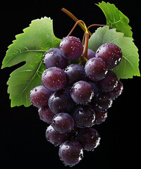 grape
