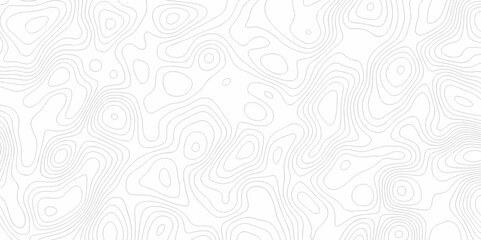 The pattern discovery vector topo map creative discovery White wave grid stripe line topography map. vector geographic contour mounted map background.	