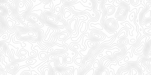 The pattern discovery vector topo map creative discovery White wave grid stripe line topography map. vector geographic contour mounted map background.	