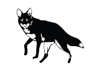 coyote vector art, black and white coyote graphic design