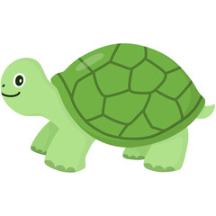 Hand drawn green turtle cartoon illustration 