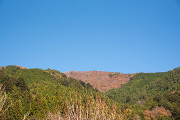 森が広がる山と快晴の青空