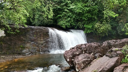 Duwili Ella Sinharaja Rainforest