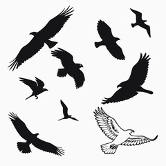 Obraz premium set of silhouettes of birds