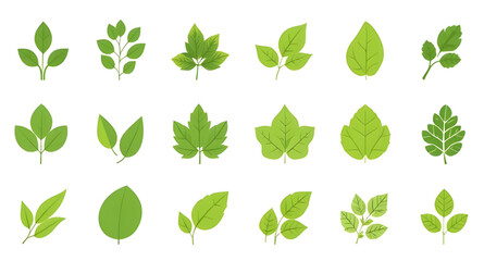 Set of green leaves, Green foliage set, Botanical leaves, Leaf collection, Nature leaf pack, Leaf clipart, Leaf vector set, Lush green leaves, Fresh leaves illustration, Tropical leaf set, Spring leav