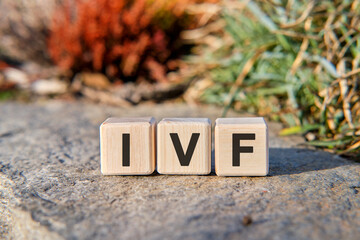 IVT - text on cubes standing on a stone on a natural background