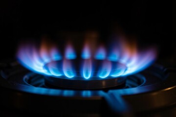 Close-up view of a gas burner flame.