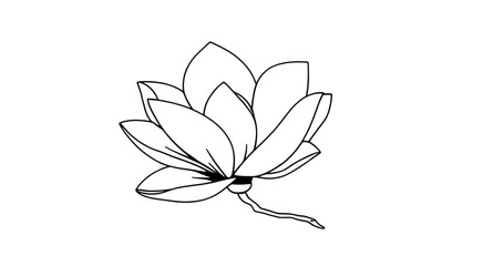 Hand-drawn flower, Floral sketch, Flower line art, Botanical drawing, Flower doodle, Flower outline, Black and white flower, Vintage floral drawing, Artistic flower, Delicate flower sketch, Flower pen