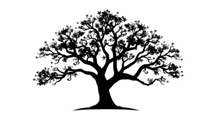 Obraz premium Tree silhouette, Silhouette of tree, Black tree outline, Tree icon, Bare tree silhouette, Tree shape, Nature silhouette, Tree vector silhouette, Forest tree silhouette, Isolated tree, Leafless tree, T