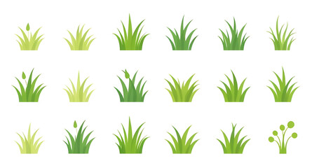 Green grass, Grass field, Lush grass, Grass texture, Grass background, Fresh grass, Realistic grass, Lawn grass, Nature grass, Grassland, Green lawn, Meadow grass, Grass vector, Grass blades, Spring g