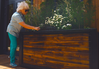 Happy senior woman looking at various flowers in her garden, caring, enjoying. Florist. Tending to the home garden on the wooden terrace, patio, gazebo, pergola