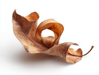 Dry leaf, subtle feeling of abandonment and melancholy.
