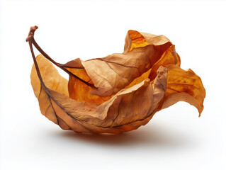 Dry leaf, subtle feeling of abandonment and melancholy.