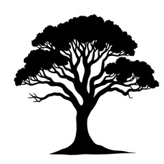 Fototapeta premium Silhouette of a wise old tree aging gracefully, nature's beauty