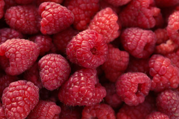 fresh raspberries on background, close up