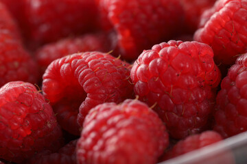fresh raspberries on background, close up