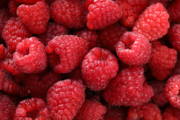 fresh raspberries on background, close up