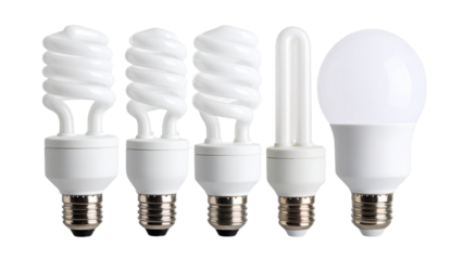 Various types of fluorescent and LED light bulbs isolated on a transparent background showcasing diverse shapes and designs suitable for lighting applications.