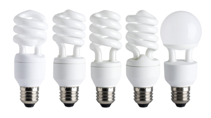 Various types of fluorescent and LED light bulbs isolated on a transparent background showcasing diverse shapes and designs suitable for lighting applications.