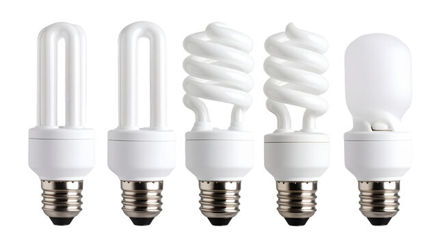 Compact fluorescent light bulbs in various shapes including spiral, globe, and standard with white casing on transparent background for illumination concepts.