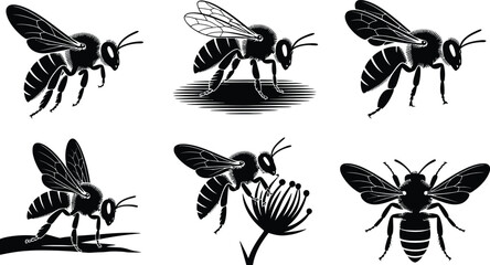 Detailed bee silhouette vector collection with honey bee and flower for nature and garden decoration