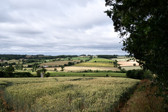Open countryside with fields, hedgerows, and rolling hills under a cloudy sky. A calm rural scene representing British agriculture.