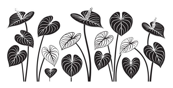 Collection of anthurium flowers and leaves in a stylized black and white silhouette