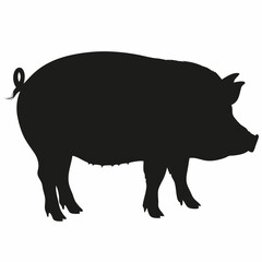 A Pig on White Background Vector Art